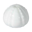 Raynaud Menton Corail Pepper Shaker Corail