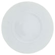 Raynaud Mineral Buffet Plate