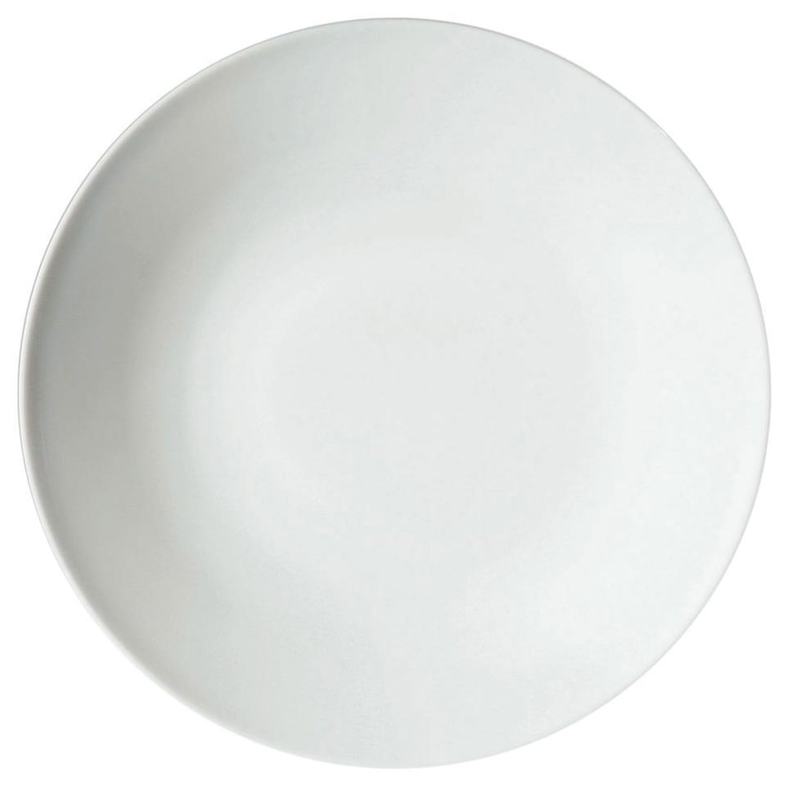 Raynaud Shanghai American Dinner Plate