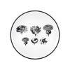 Vista Alegre Christian Lacroix - Herbariae Bread And Butter Plate By Christian Lacroix