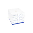 Vista Alegre Blue Ming Box