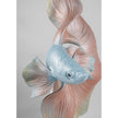 Lladro Betta Fish right