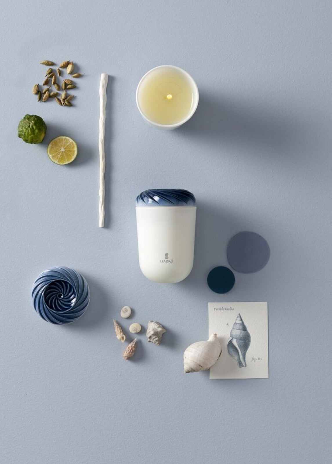 Lladro Echoes of Nature Candle