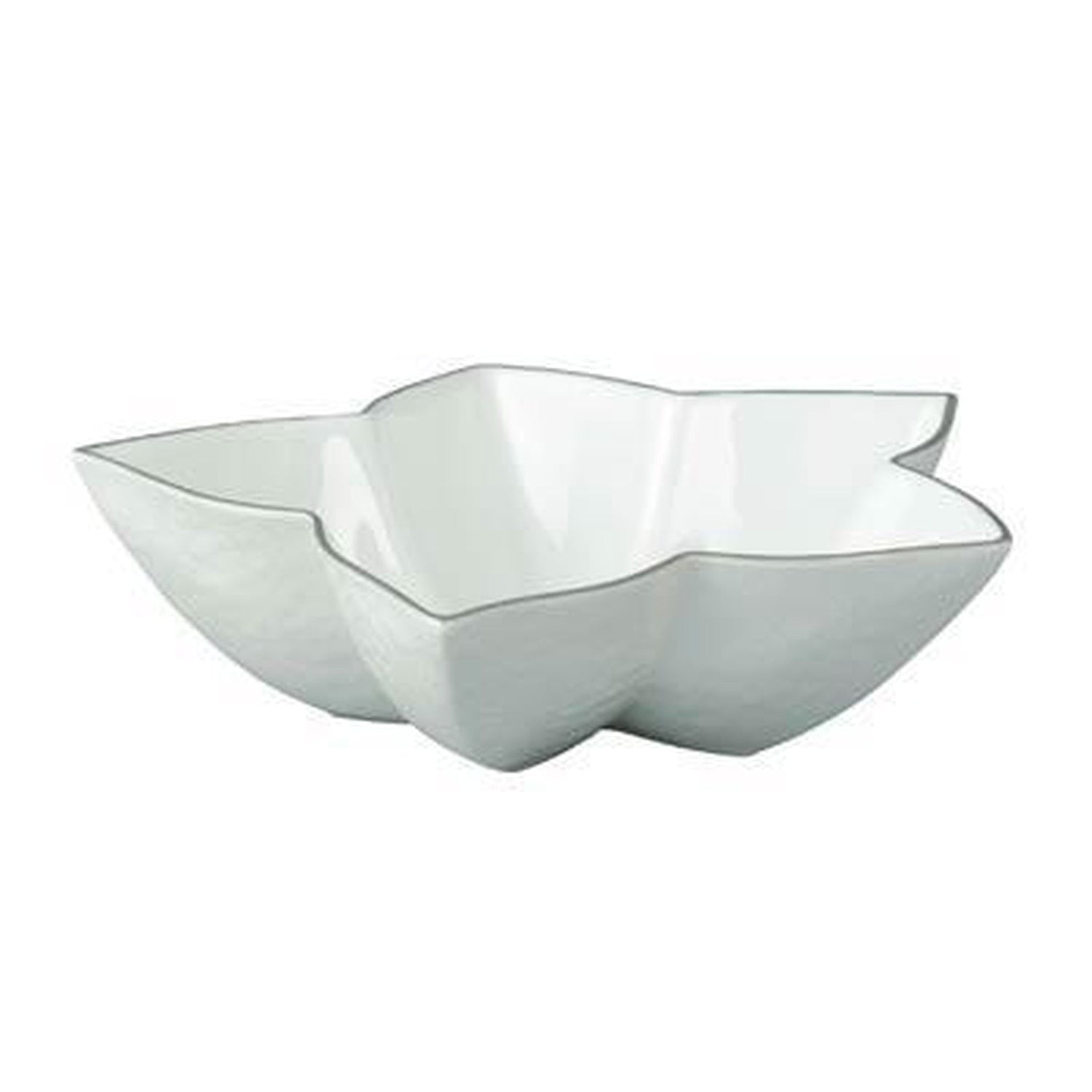 Raynaud Mineral Filet Platinum Star Cup White Inside