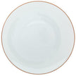 Raynaud Monceau Orange Abricot American Dinner Plate