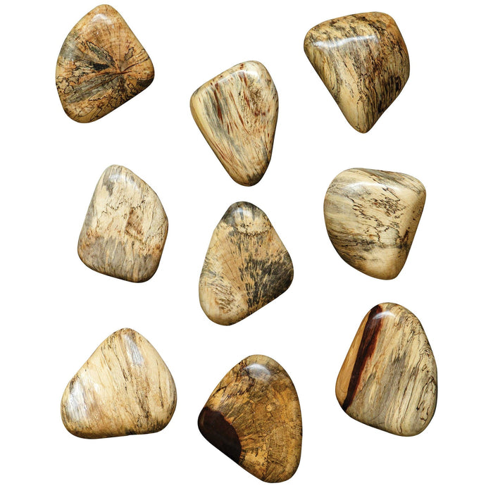Uttermost Pebbles Wood Wall Decor - Set of 9