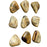 Uttermost Pebbles Wood Wall Decor - Set of 9