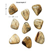 Uttermost Pebbles Wood Wall Decor - Set of 9