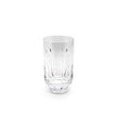 Lladro Toucan 1 Crystal Glass