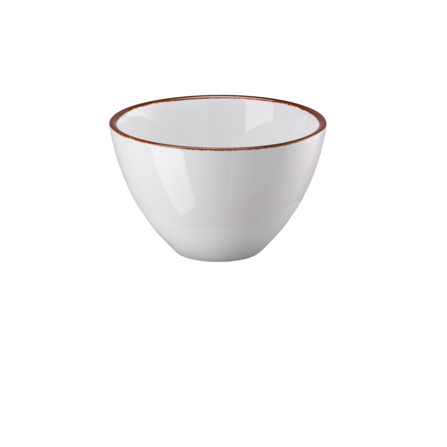 Rosenthal Profi Easy Earth Bowl