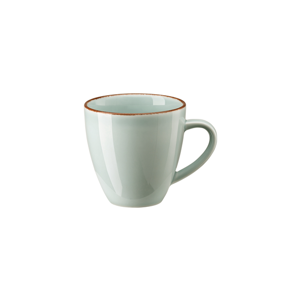 Rosenthal Profi Casual Mint Mug with Handle