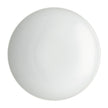 Rosenthal TAC Sensual Soup Plate