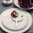 Rosenthal TAC Festive - Celebration Dinner Plate