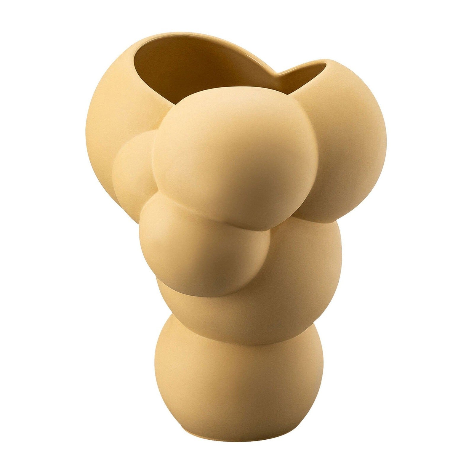 Rosenthal Skum Design+ Fossil Vase