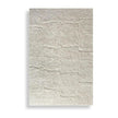 Uttermost Miramar Cozy Shag Rug