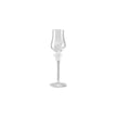 Versace Medusa Lumiere Grappa - Clear