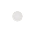 Vista Alegre Utopia Set of 5 Plate Pieces