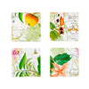 Vista Alegre Amazonia Coasters - Set of 4