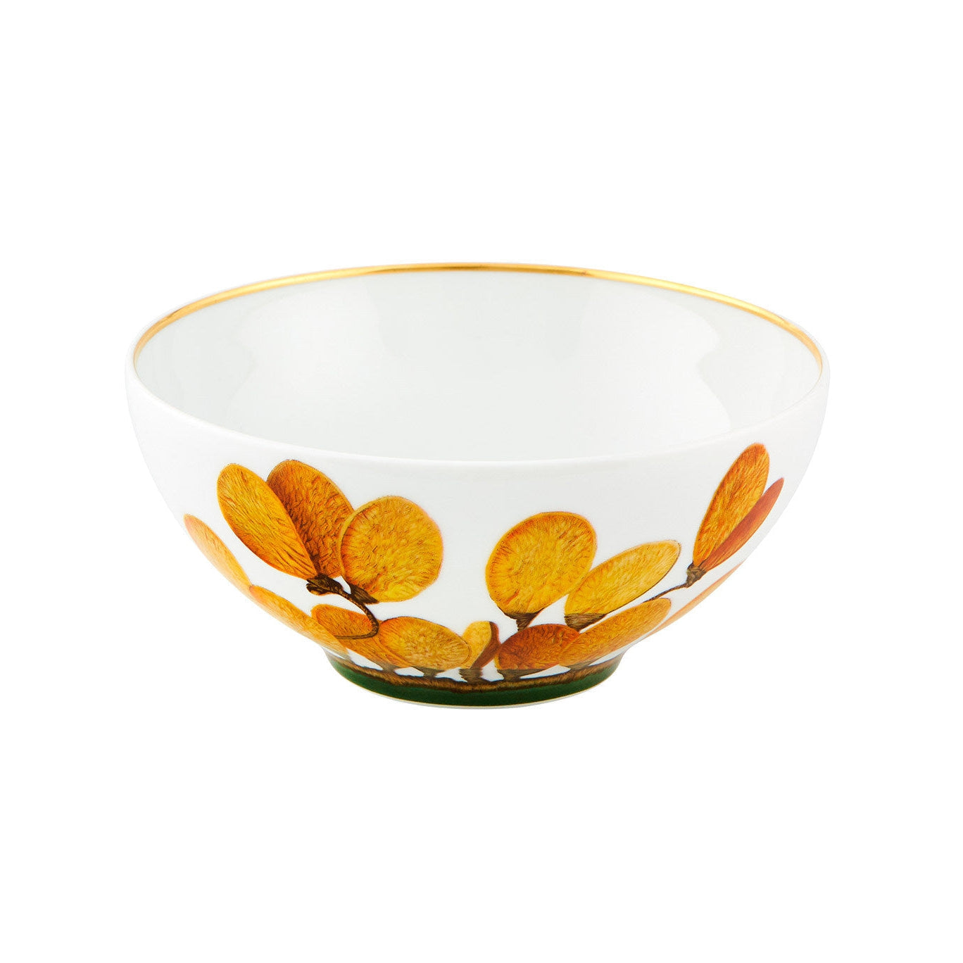 Vista Alegre Amazonia Set of 4 Plate Pieces
