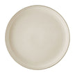 Rosenthal Joyn Stonweare - Luncheon/Gourmet Plate