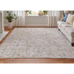 Feizy Pasha 39M6F Transitional Distressed in Taupe/Ivory/Blue