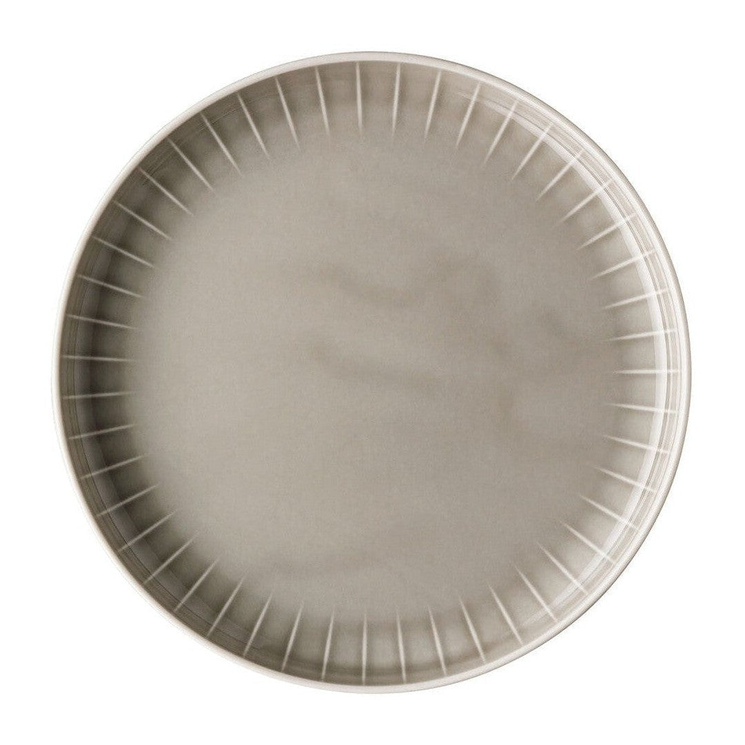 Rosenthal Joyn Gourmet Plate