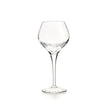 Vista Alegre Lybra Water Goblet