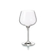 Vista Alegre Aroma Water Goblets - Set of 4