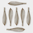 Global Views Palm Seed Pod Nickel