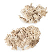 Uttermost Elemental Root Outdoor Sculptures - Set of 2