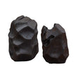 Uttermost Ember Root Teak Sculpture, Set/2
