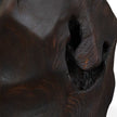 Uttermost Ember Root Teak Sculpture, Set/2