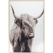 Livabliss by Surya Dartmoor Framed Art Clearance