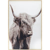 Livabliss by Surya Dartmoor Framed Art Clearance