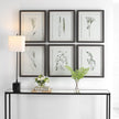 Uttermost Forest Finds Framed Prints - Set of 6