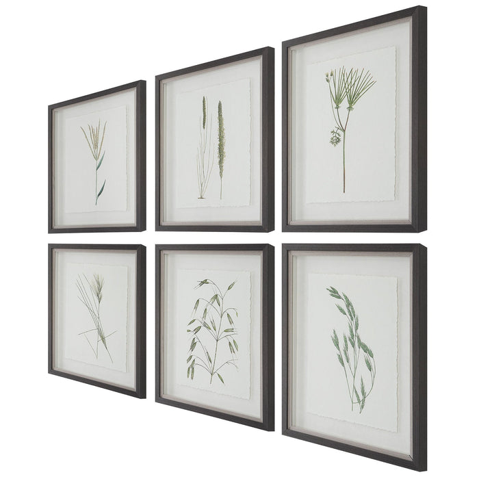 Uttermost Forest Finds Framed Prints - Set of 6