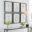 Uttermost Forest Finds Framed Prints - Set of 6