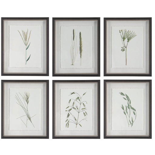Uttermost Forest Finds Framed Prints - Set of 6