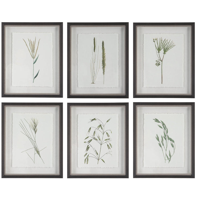 Uttermost Forest Finds Framed Prints - Set of 6