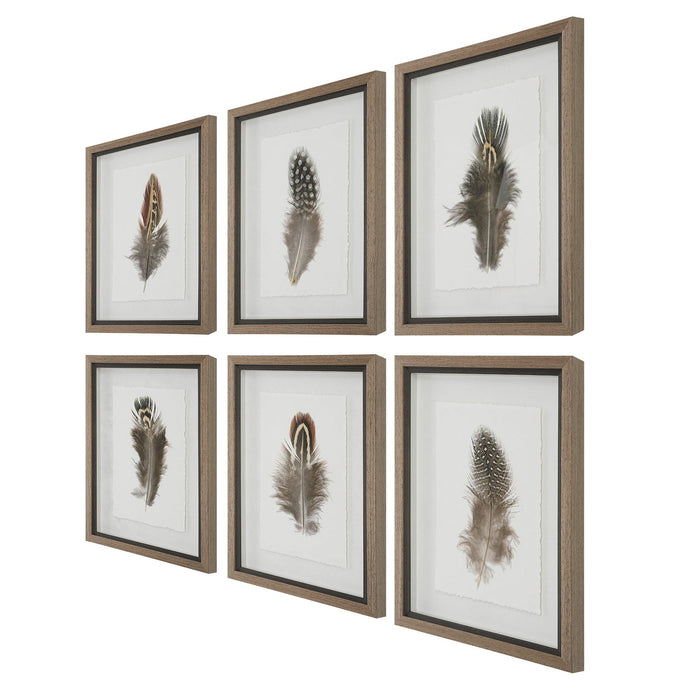 Uttermost Birds Of A Feather Framed Prints - Set of 6