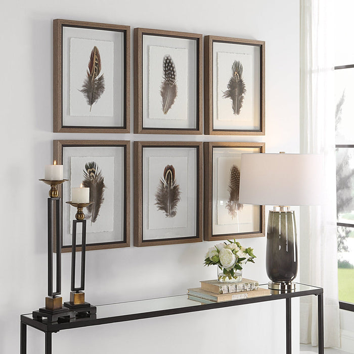 Uttermost Birds Of A Feather Framed Prints - Set of 6