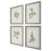Uttermost Wildflower Study Framed Prints - Set of 4