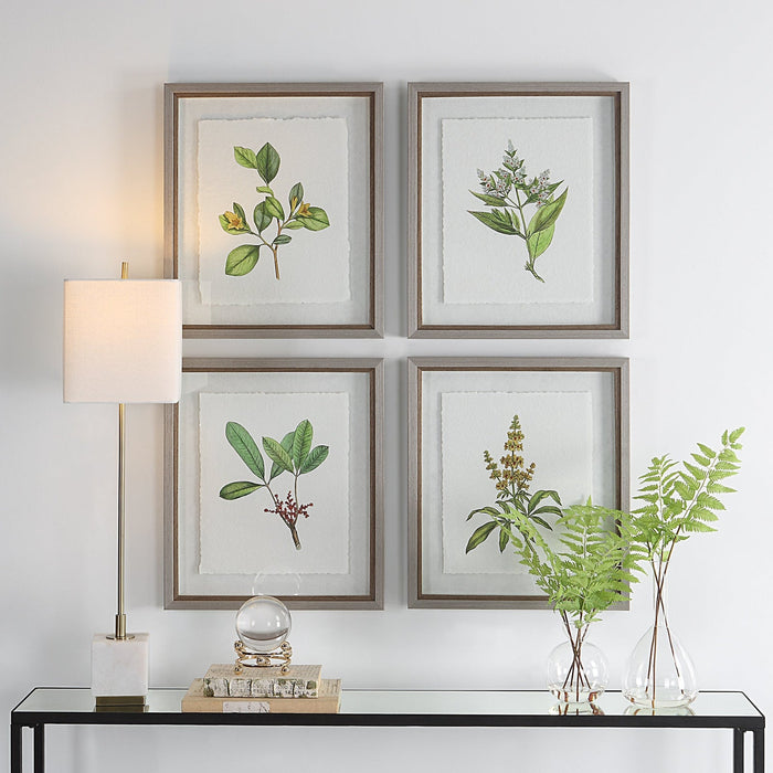 Uttermost Wildflower Study Framed Prints - Set of 4