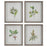Uttermost Wildflower Study Framed Prints - Set of 4