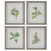 Uttermost Wildflower Study Framed Prints - Set of 4