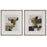 Uttermost Color Block Framed Prints - Set of 2