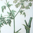 Uttermost Antique Botanicals Framed Prints - Set of 9