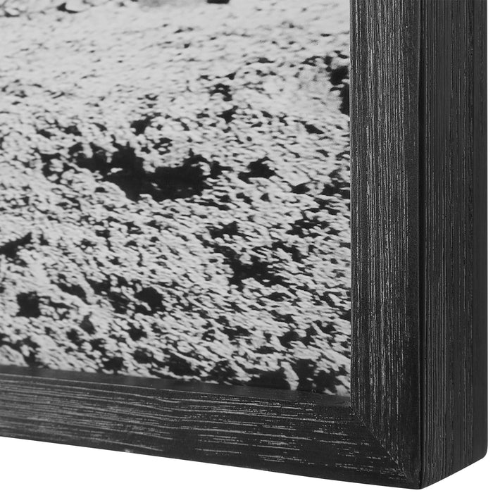 Uttermost Galloping Forward Equine Prints - Set of 3