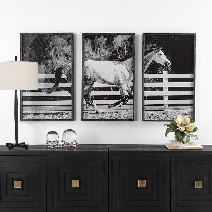 Uttermost Galloping Forward Equine Prints - Set of 3