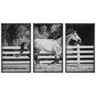 Uttermost Galloping Forward Equine Prints - Set of 3